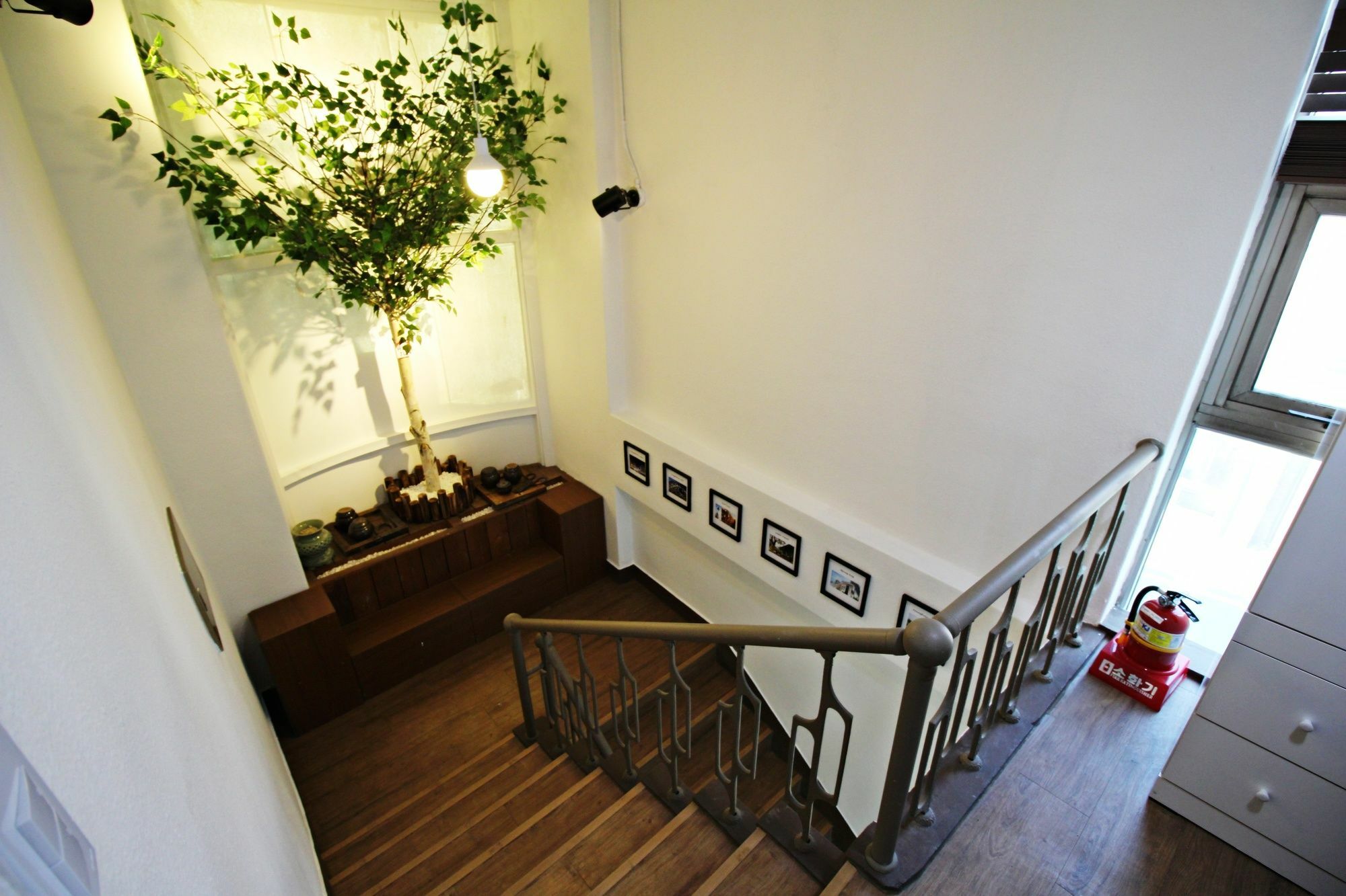 Cocoa Guest house